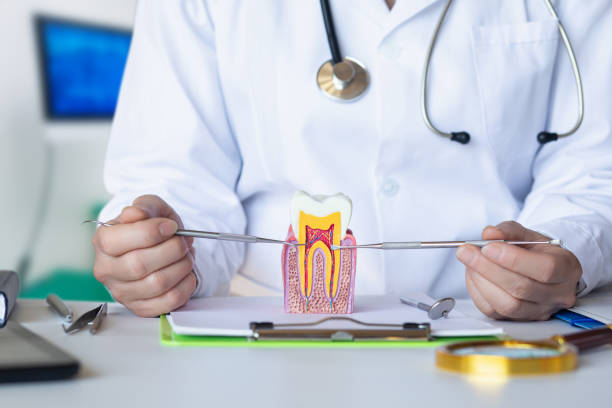 Best Emergency Dental Care for Trauma or Injury in West Point, MS